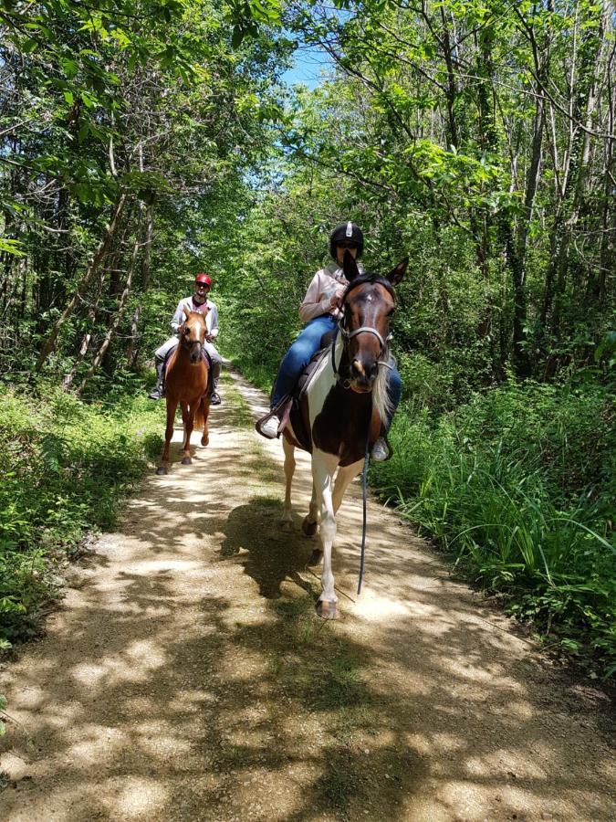 Gite Equestre Domaine Des Crins - Monpazier Capdrot Екстериор снимка