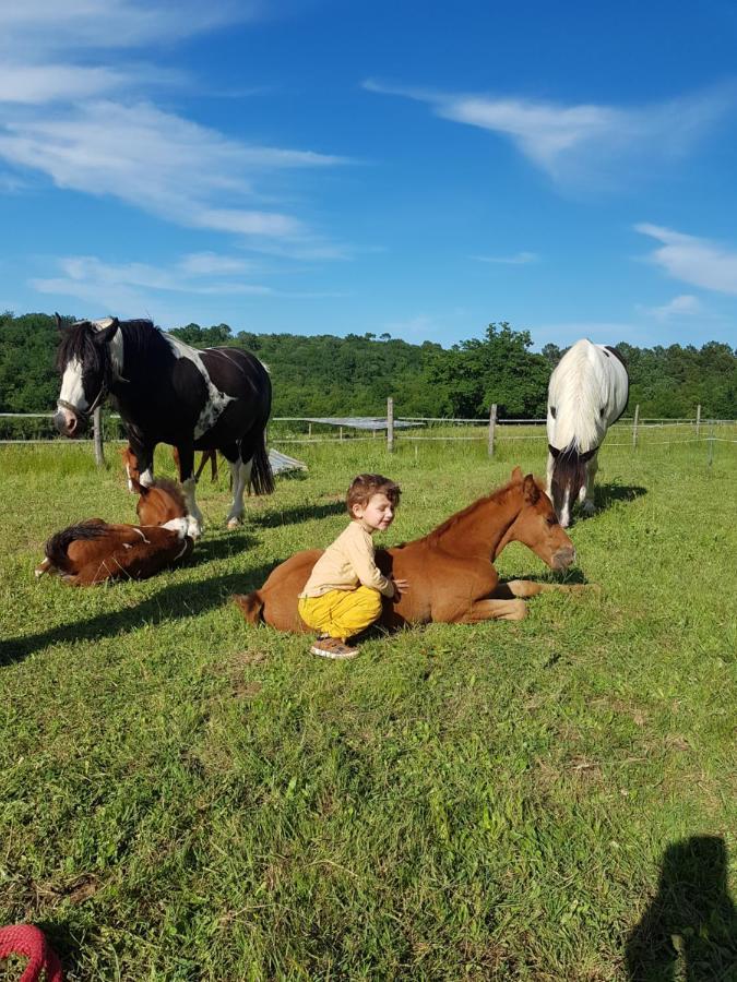 Gite Equestre Domaine Des Crins - Monpazier Capdrot Екстериор снимка