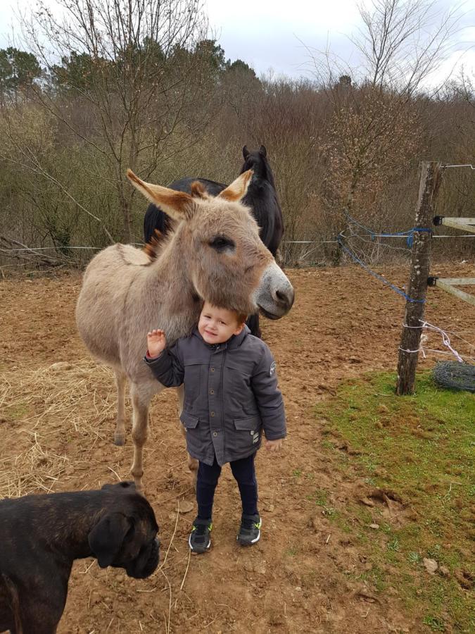 Gite Equestre Domaine Des Crins - Monpazier Capdrot Екстериор снимка