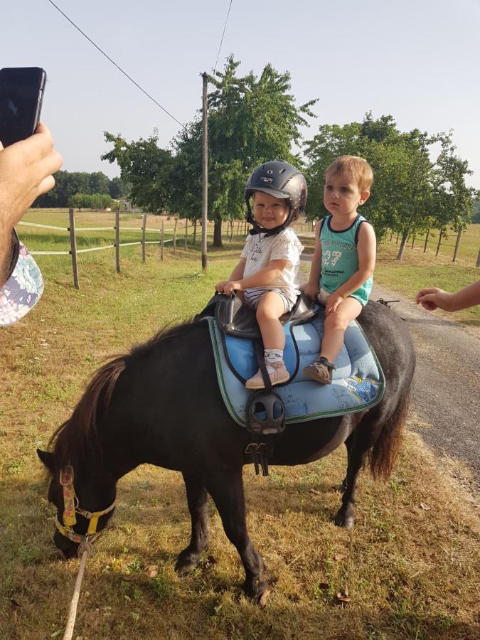 Gite Equestre Domaine Des Crins - Monpazier Capdrot Екстериор снимка