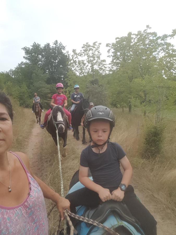 Gite Equestre Domaine Des Crins - Monpazier Capdrot Екстериор снимка