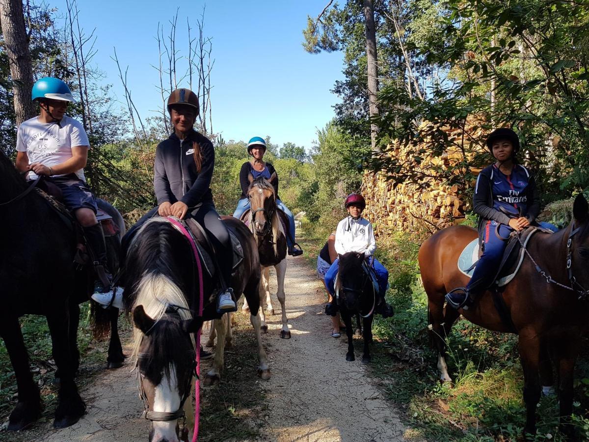 Gite Equestre Domaine Des Crins - Monpazier Capdrot Екстериор снимка