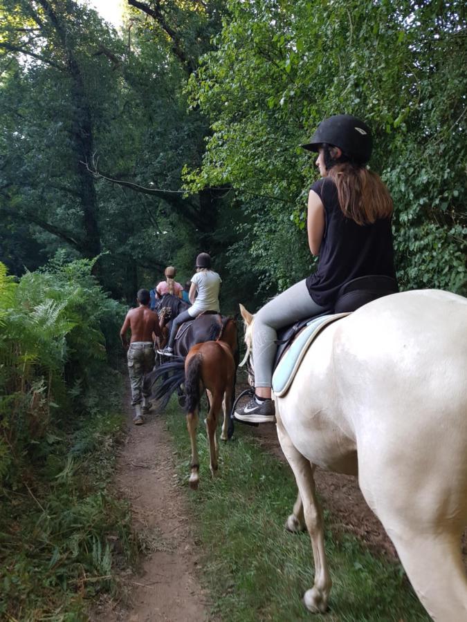 Gite Equestre Domaine Des Crins - Monpazier Capdrot Екстериор снимка