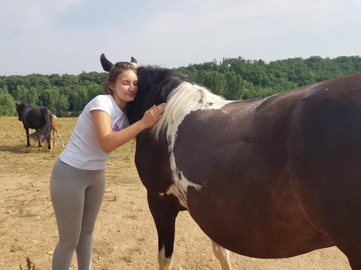 Gite Equestre Domaine Des Crins - Monpazier Capdrot Екстериор снимка