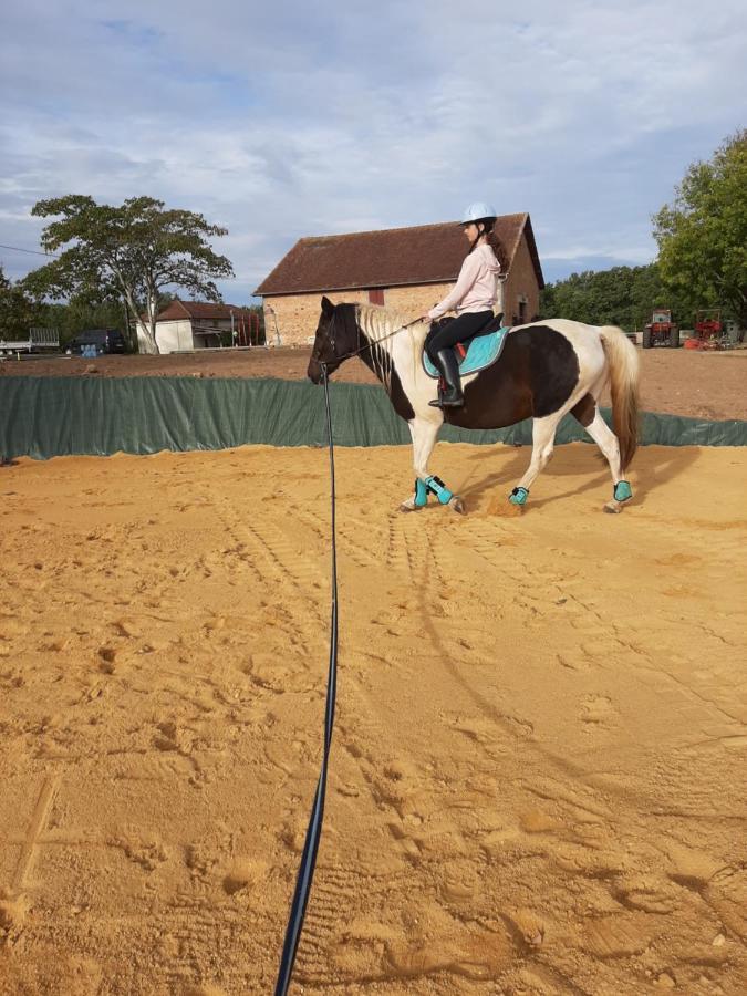 Gite Equestre Domaine Des Crins - Monpazier Capdrot Екстериор снимка