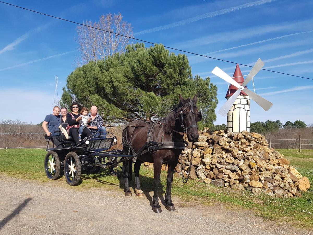 Gite Equestre Domaine Des Crins - Monpazier Capdrot Екстериор снимка
