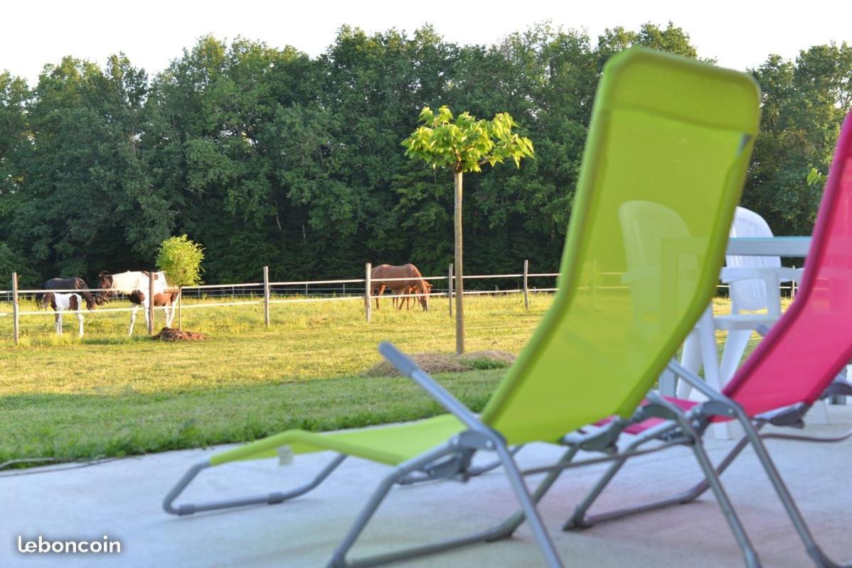 Gite Equestre Domaine Des Crins - Monpazier Capdrot Екстериор снимка